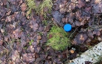 В Бресте ликвидирован очередной наркомагазин