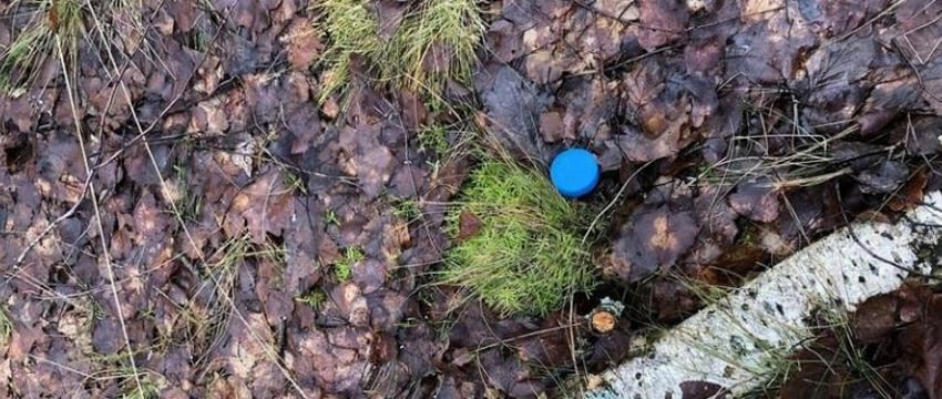 В Бресте ликвидирован очередной наркомагазин