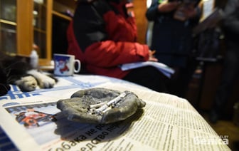 В Гомеле дочь устроила в квартире матери притон. Что говорят в милиции?