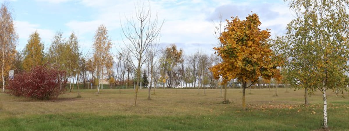 В Гродно построят торгово-выставочный центр — узнайте, где