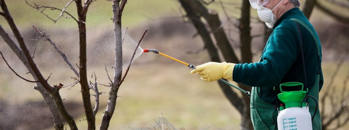 Когда осенью проводить обработку сада медным купоросом? Вот как не превратить полезное средство в яд для деревьев — Полезно