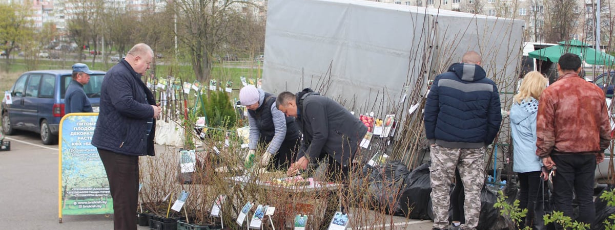 Новые сорта голубики и необычная малина — что продают на весенней ярмарке в Гродно