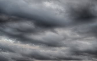 Силовики задержали десяток работников «Щучинагрохимсервиса»