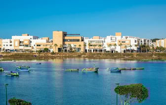 В Беларуси с молотка продают… номер телефона