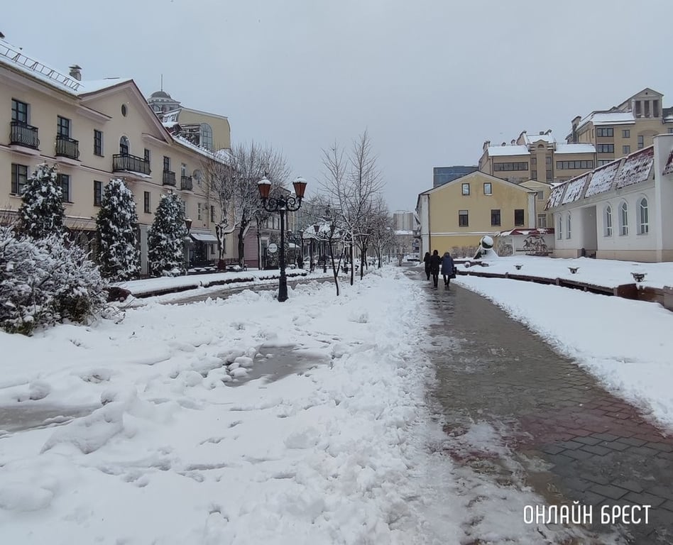 Фото носит иллюстративный характер