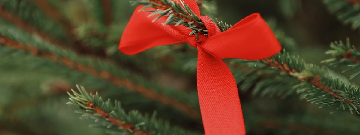 Запуск инвестиционных биткоин-фондов в Израиле состоится 31 декабря