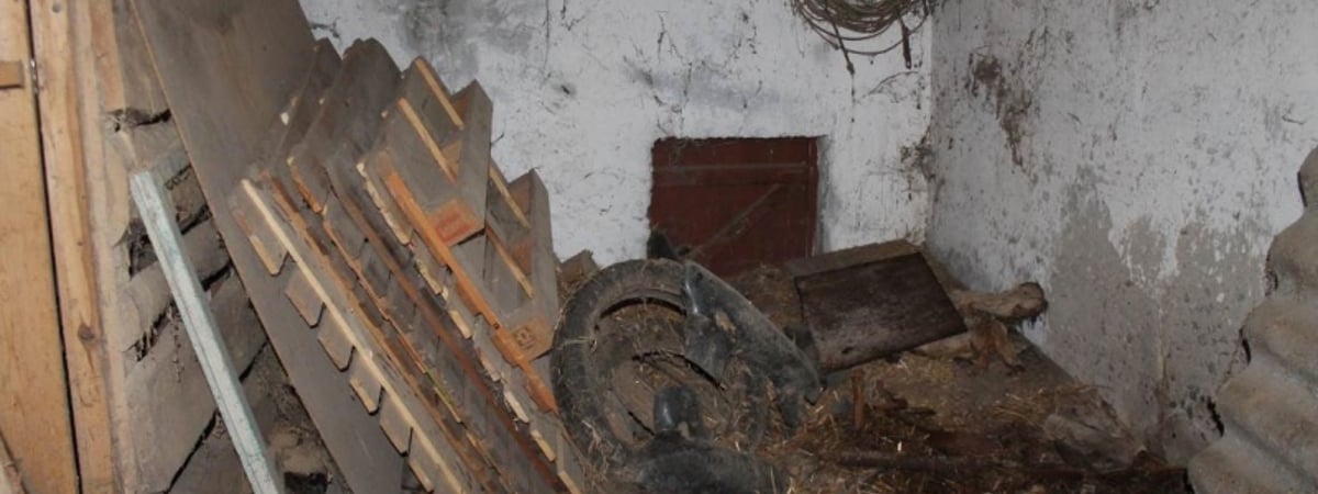 В Берестовицком районе местный житель нашел в сарае 700 патронов — что было дальше