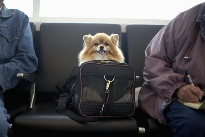 Фото из открытых источников (иллюстративное)