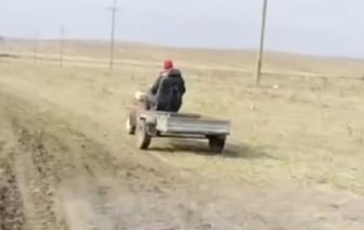 Прямо посреди поля сотрудники ГАИ поймали пьяного водителя мотоблока