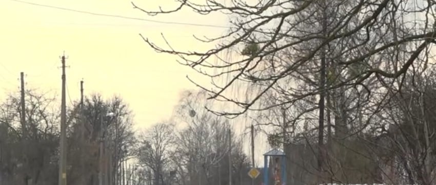 Деревню в Пинском районе чудом спасли от крупного пожара