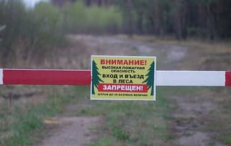 Запрет на посещение лесов в четырех районах Беларуси