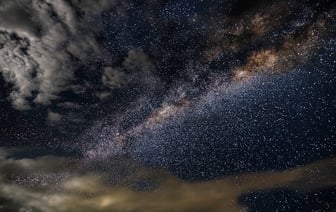 «Сломано крыло, нужна операция». Полочане помогают птицам, пострадавшим после урагана