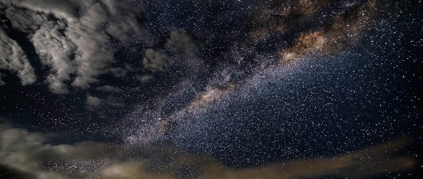 «Сломано крыло, нужна операция». Полочане помогают птицам, пострадавшим после урагана