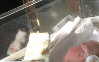 Рожденные в Рождество. Видеорепортаж из Бреста