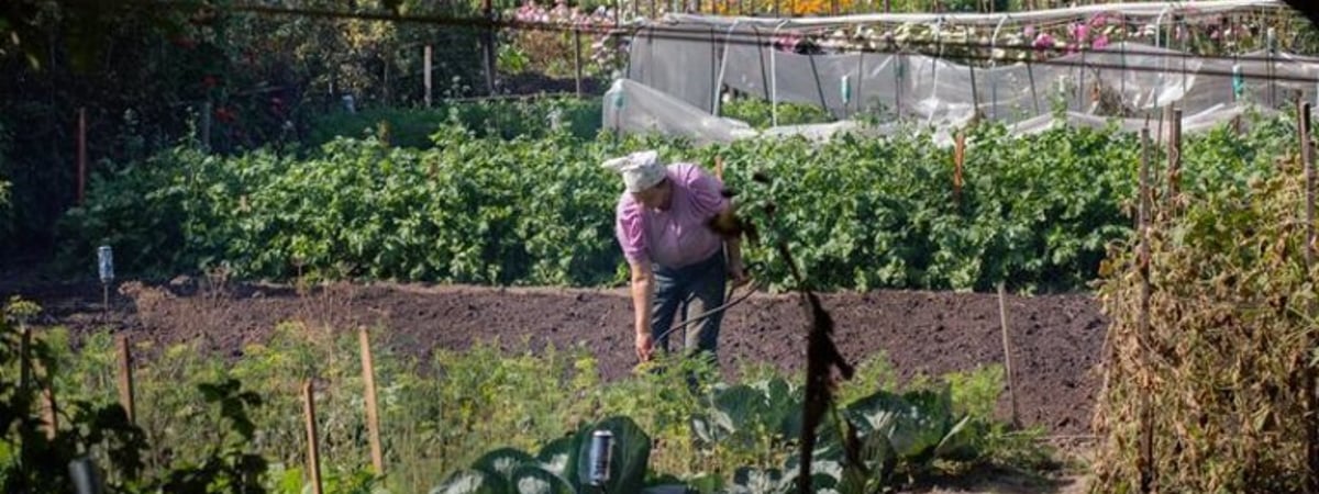 «Мне никто не обещал, что в жизни будет легко, но не настолько же…» Как беларусам живется на пенсии