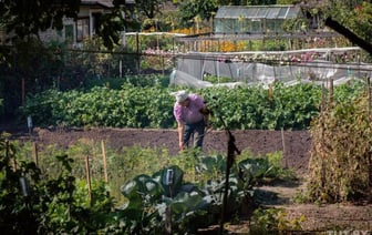 «Мне никто не обещал, что в жизни будет легко, но не настолько же…» Как беларусам живется на пенсии