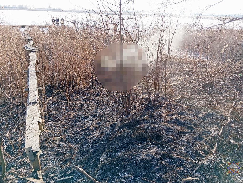 В Малоритском районе на выгоревшем участке земли обнаружен погибший мужчина — видео
