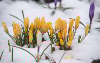 Холоднее всего в Беларуси этой ночью было в Езерище и Россонах