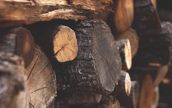 Снижение цен на бензин и дизельное топливо в Польше ускорилось