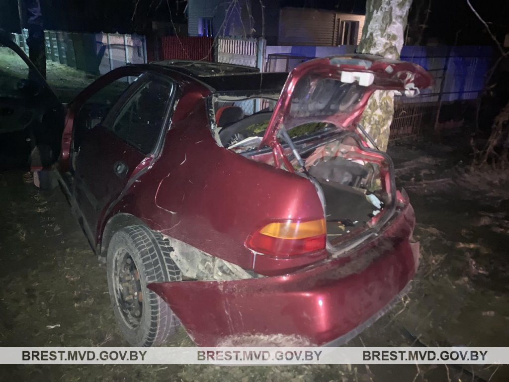 Парень на Honda врезался в дерево в Жабинковском районе