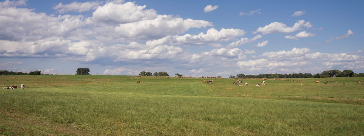 Беглая премьер Бангладеш может попросить убежища в Беларуси
