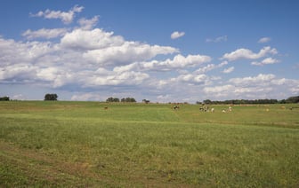 Беглая премьер Бангладеш может попросить убежища в Беларуси