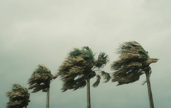 В Гомельской области сняли режим чрезвычайной ситуации