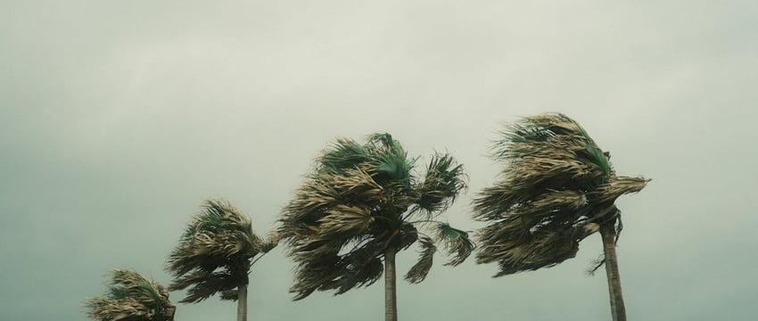 В Гомельской области сняли режим чрезвычайной ситуации