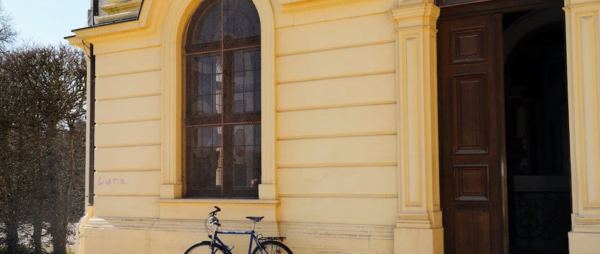 В Полоцком районе ограничили посещение лесов. Какой штраф ждет нарушителей?