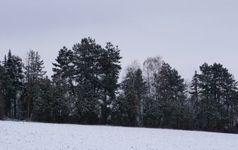 Стало известно, какой будет погода в Могилевской области в начале следующей недели