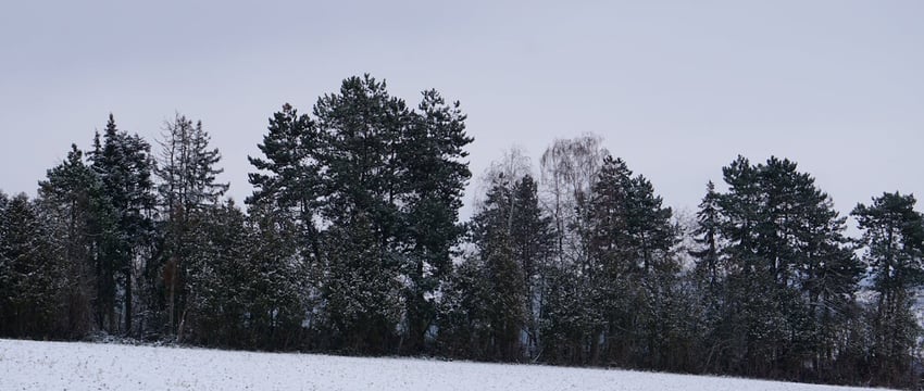 Стало известно, какой будет погода в Могилевской области в начале следующей недели