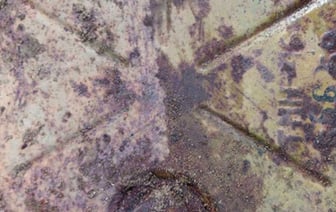 Белорус пошел в грибы, а в итоге нашел противотанковые мины