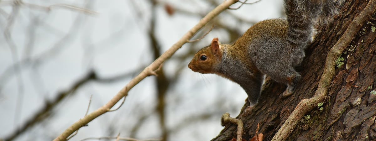 В парке "Августовский канал" построят гостиничный комплекс