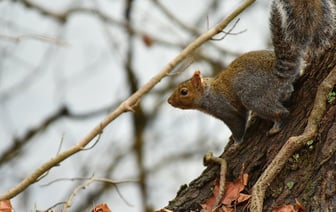 В парке "Августовский канал" построят гостиничный комплекс