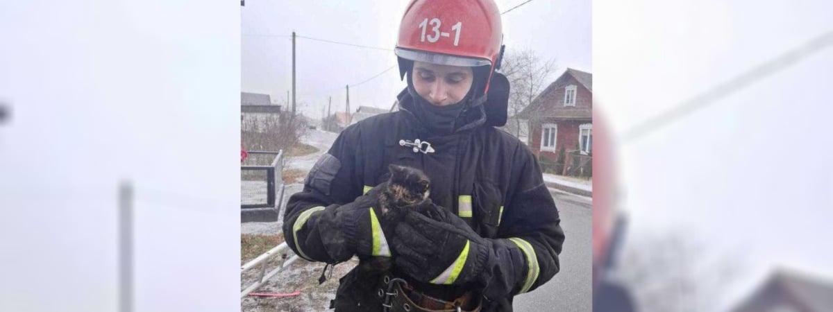 В Ляховичах спасатели вызволили котёнка, упавшего в колодец — Видео