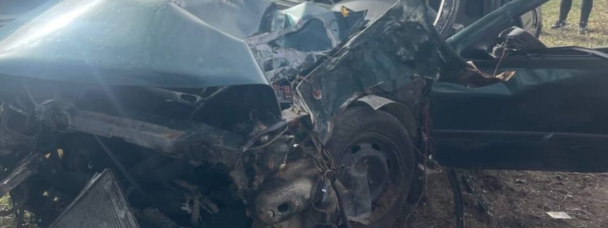 В Ивьевском районе водитель не справился с управлением и врезался в дерево