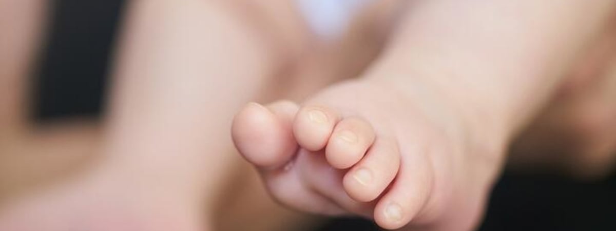 В 2025 году родятся первые представители нового поколения «бета»