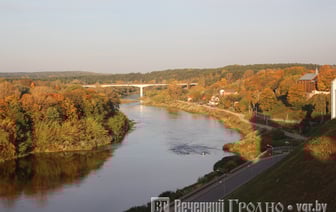 Идеальные условия для роста грибов — погода в Гродно на выходные