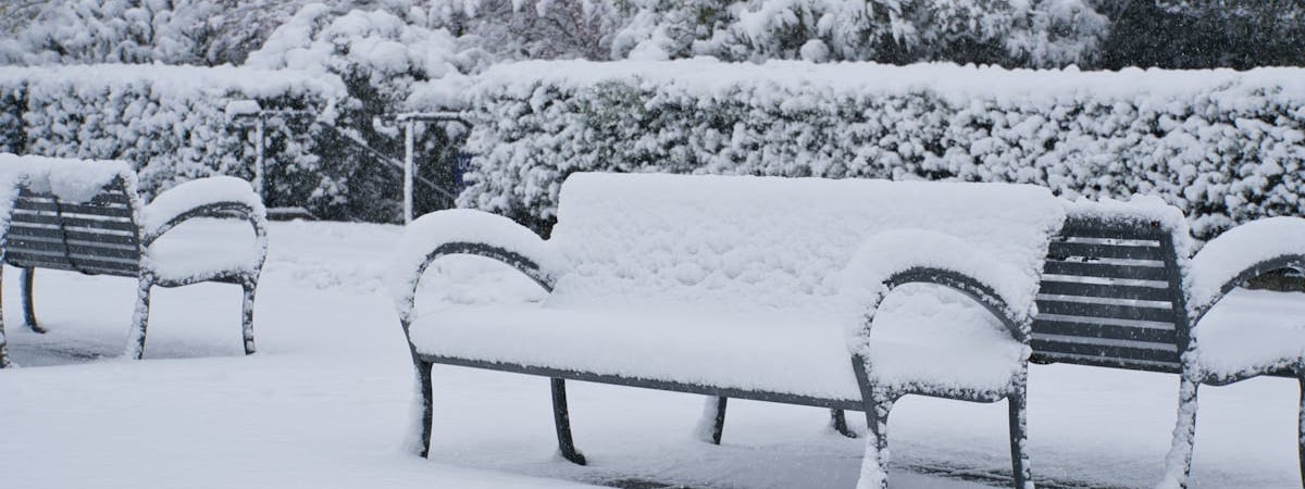 В Беларуси установлен размер компенсации юрлицам и ИП расходов за сбор отходов на 2025 год