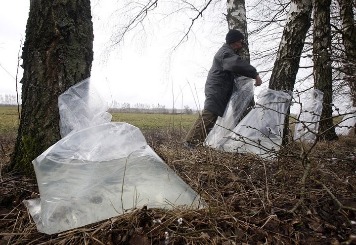 Фото из открытых источников (иллюстративное)