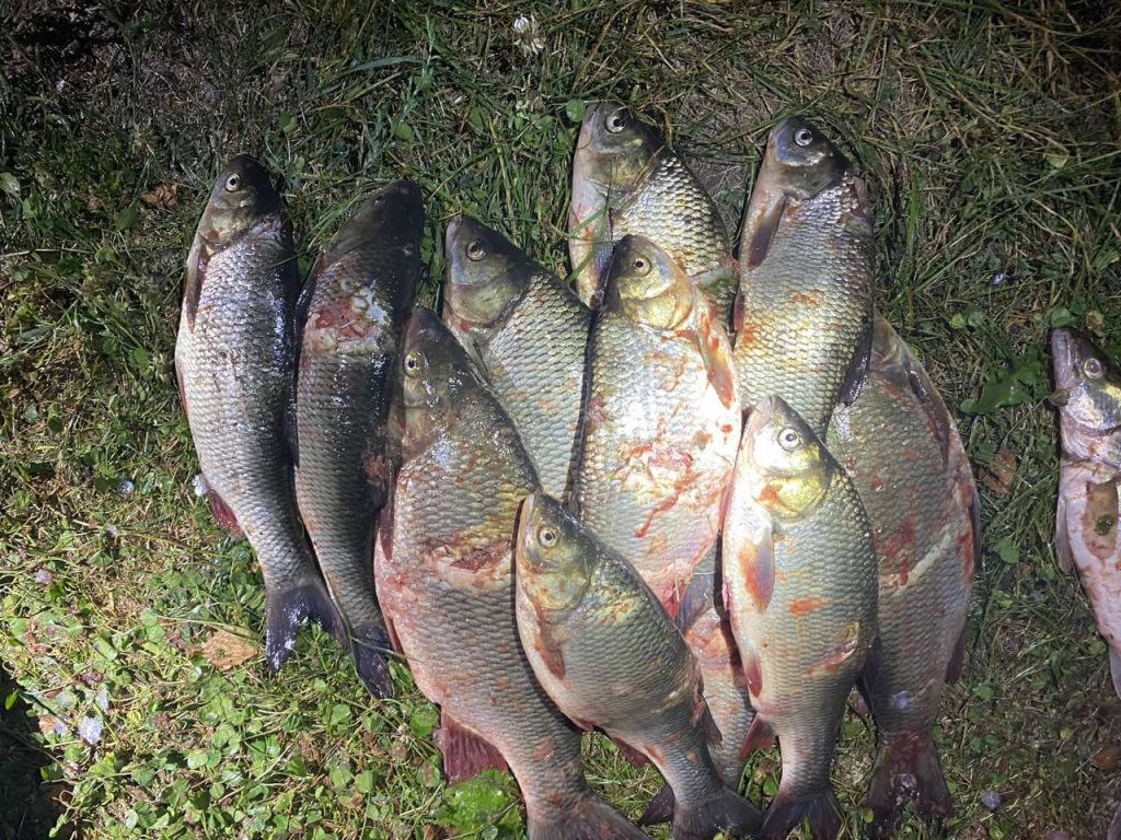 «Наловили» 122 кг рыбы. На одной из рек в Беларуси поймали организованную группу браконьеров