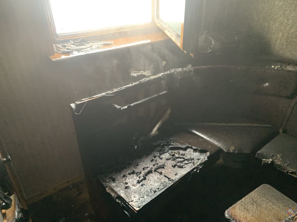 Кот спас хозяина от смерти на пожаре в Слониме