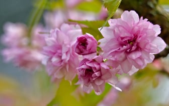 Рекордно низкие температуры в Витебской области