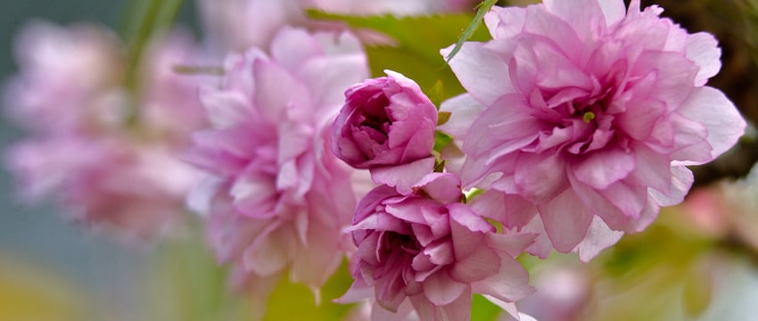 Рекордно низкие температуры в Витебской области