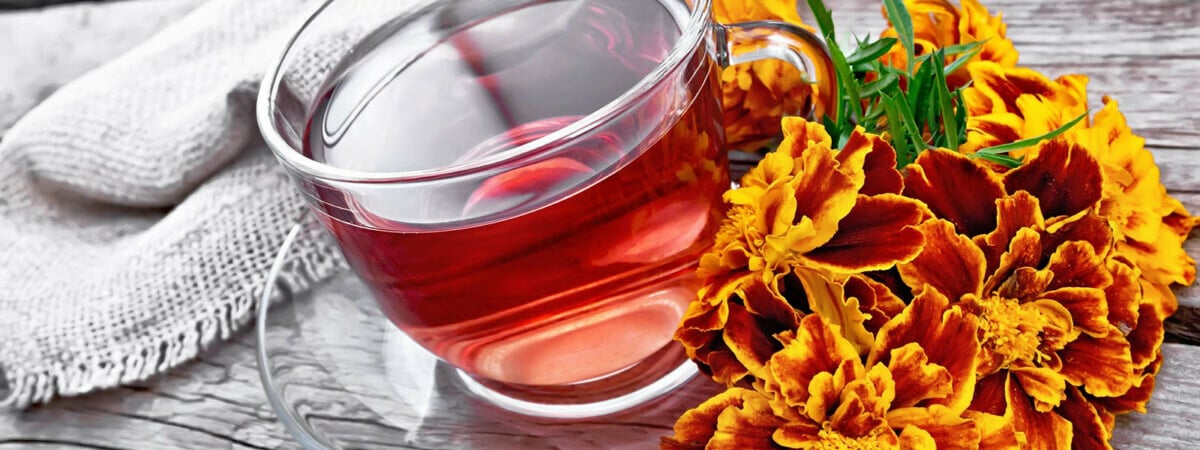 Зачем белорусам пить чай из бархатцев? Биолог показала, как просто приготовить напиток — Полезно