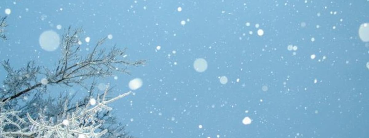 Зима возвращается? Каким будет февраль