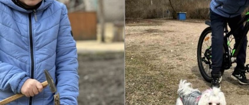 10-летний Стас пропал в деревне Барановичского района