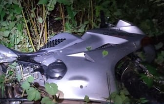 Мотоциклист столкнулся с лосем, оба погибли