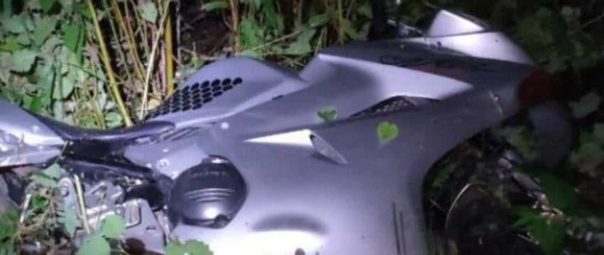 Мотоциклист столкнулся с лосем, оба погибли