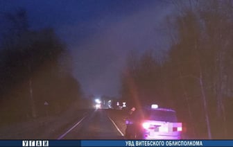 В Лепельском районе легковушка сбила пенсионерку